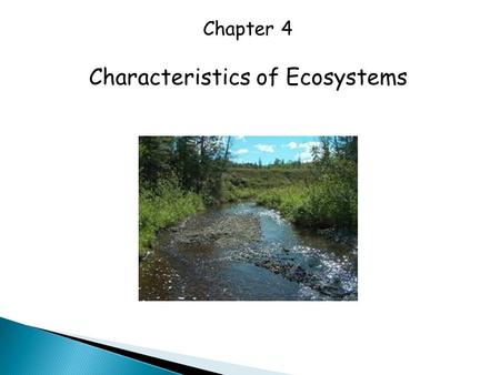 Characteristics of Ecosystems