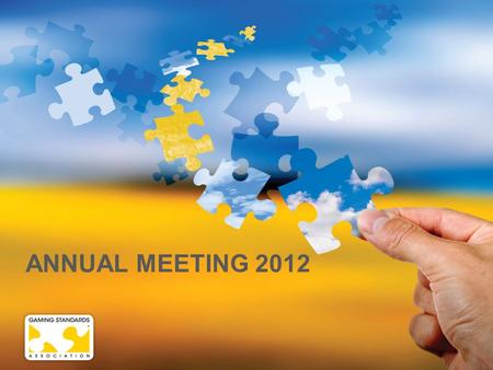ANNUAL MEETING 2012. OPENING STATEMENT Adrian Marcu - Chairman.
