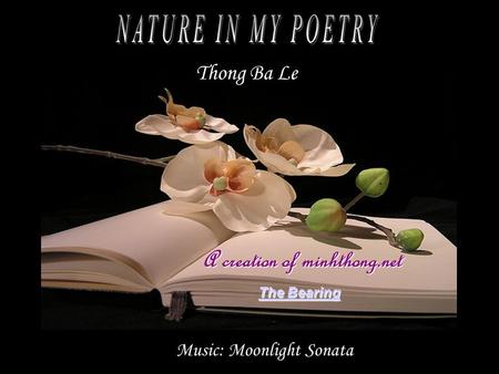 Music: Moonlight Sonata Thong Ba Le The Bearing The Bearing A creation of minhthong.net.