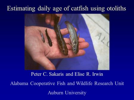 Estimating daily age of catfish using otoliths Peter C. Sakaris and Elise R. Irwin Alabama Cooperative Fish and Wildlife Research Unit Auburn University.