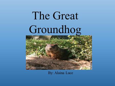 The Great Groundhog By: Alaina Luce.