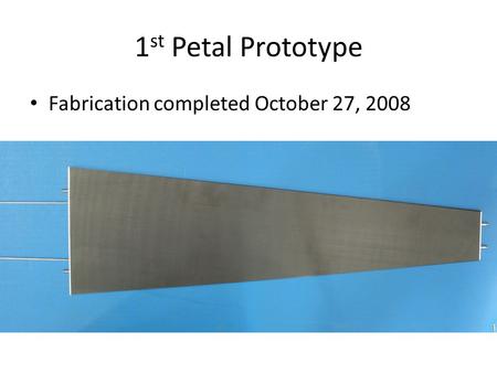 1 st Petal Prototype Fabrication completed October 27, 2008.