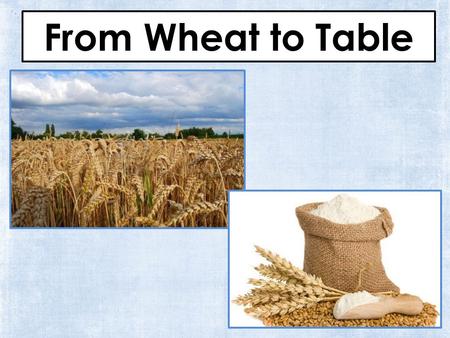From Wheat to Table. Table of Contents A farmer plants the wheat page 3 A harvester cuts the wheat page 4 A truck driver takes the seeds to the mill page.