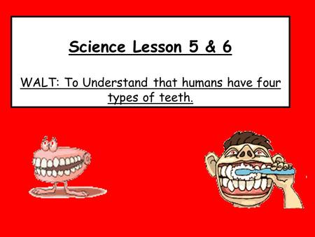 Science Lesson 5 & 6 WALT: To Understand that humans have four types of teeth.