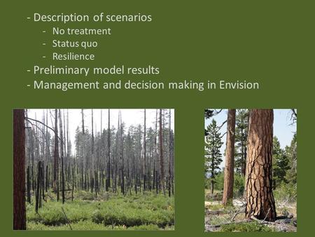 - Description of scenarios -No treatment -Status quo -Resilience - Preliminary model results - Management and decision making in Envision.