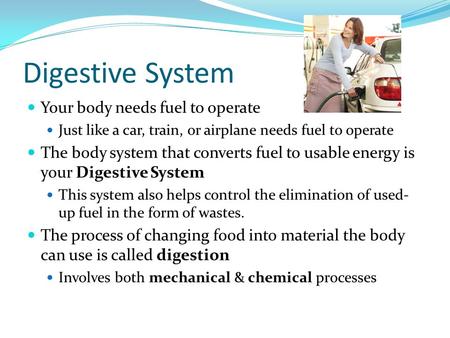 Digestive System Your body needs fuel to operate Just like a car, train, or airplane needs fuel to operate The body system that converts fuel to usable.