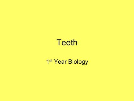Teeth 1st Year Biology.