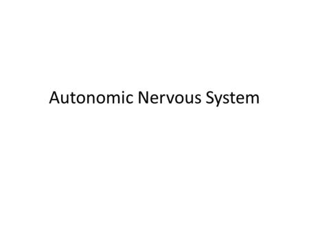 Autonomic Nervous System. I. Comparison between somatic and autonomic nervous system A. Effectors differ 1. somatic system 2. ans B. Number of neurons.