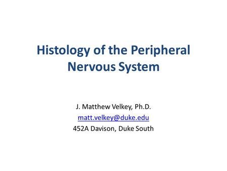 Peripheral Nervous System Histology Lecture 2004 Michael Hortsch