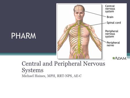 PHARM Central and Peripheral Nervous Systems Michael Haines, MPH, RRT-NPS, AE-C.