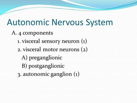 Autonomic Nervous System A. 4 components 1. visceral sensory neuron (1) 2. visceral motor neurons (2) A) preganglionic B) postganglionic 3. autonomic ganglion.