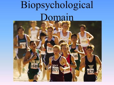 Biopsychological Domain. The Nervous System and the Endocrine System.