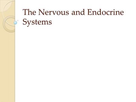 The Nervous and Endocrine Systems. What is the Nervous System? Body’s electrochemical communication system ◦ How your brain communicates with limbs, organs,