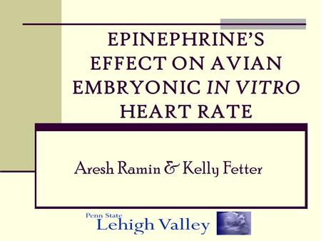 EPINEPHRINE’S EFFECT ON AVIAN EMBRYONIC IN VITRO HEART RATE Aresh Ramin & Kelly Fetter.