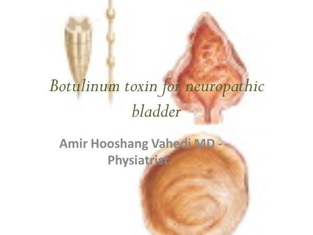 Botulinum toxin for neuropathic bladder Amir Hooshang Vahedi MD - Physiatrist.