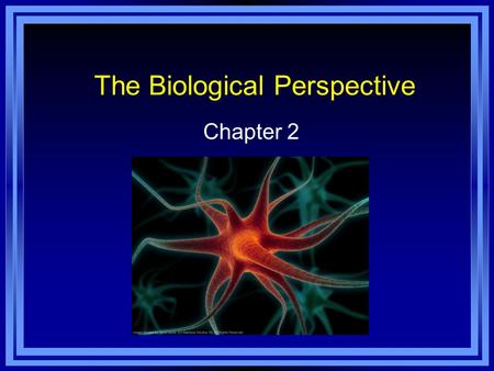 The Biological Perspective Chapter 2. Overview of Nervous System Nervous System - an extensive network of specialized cells that carry information to.