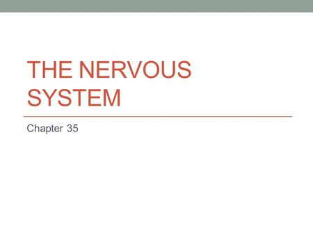THE NERVOUS SYSTEM Chapter 35. Body Organization Cell- basic unit of structure and function Specialized- made for a particular function Tissues Epithelial-