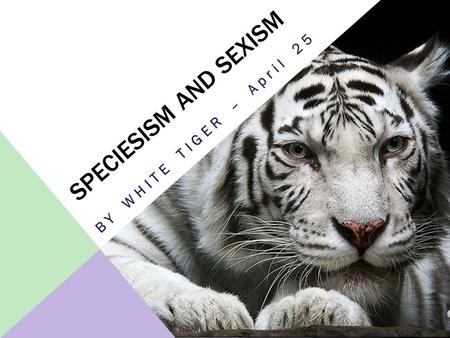 SPECIESISM AND SEXISM B Y W H I T E T I G E R – A p r i l 2 5.