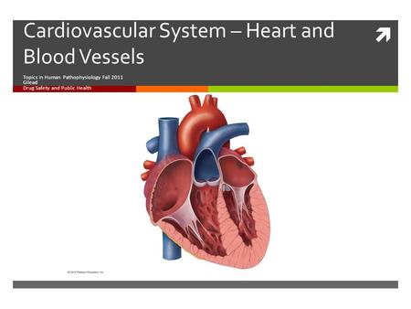  Cardiovascular System – Heart and Blood Vessels Topics in Human Pathophysiology Fall 2011 Gilead Drug Safety and Public Health.