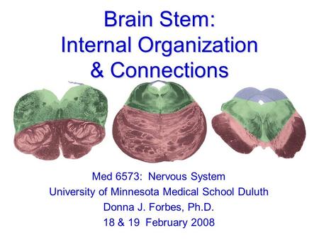 Brain Stem: Internal Organization & Connections Med 6573: Nervous System University of Minnesota Medical School Duluth Donna J. Forbes, Ph.D. 18 & 19 February.