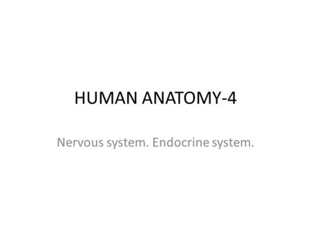 HUMAN ANATOMY-4 Nervous system. Endocrine system..