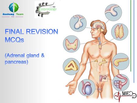 FINAL REVISION MCQs (Adrenal gland & pancreas).