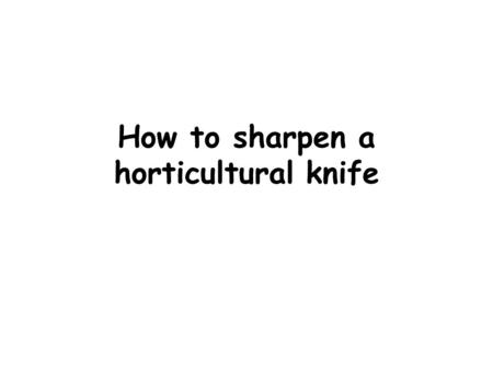 How to sharpen a horticultural knife. Use a wire brush to remove any resin/deposit on the knife before sharpening.