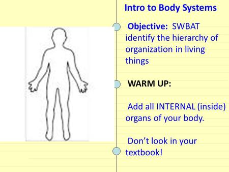 Objective: SWBAT identify the hierarchy of organization in living things WARM UP: Add all INTERNAL (inside) organs of your body. Don’t look in your textbook!