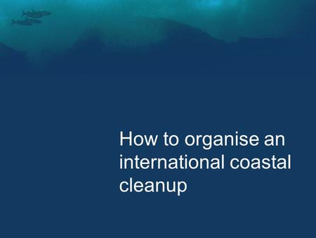 How to organise an international coastal cleanup.