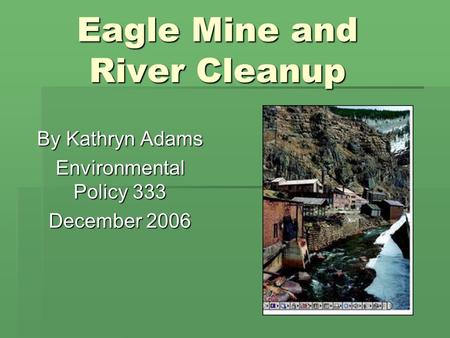 Eagle Mine and River Cleanup By Kathryn Adams Environmental Policy 333 December 2006.