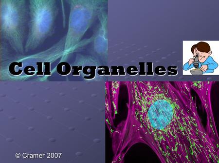 Cell Organelles © Cramer 2007