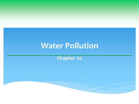 Water Pollution Chapter 20. The Seattle, Washington Area, U.S.