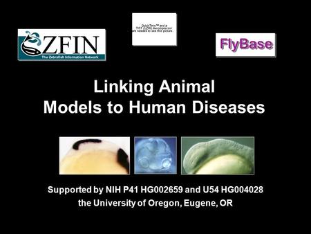 Linking Animal Models to Human Diseases Supported by NIH P41 HG002659 and U54 HG004028 the University of Oregon, Eugene, OR.