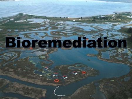 Bioremediation  The use of biological agents, such as bacteria or plants, to remove or neutralize contaminants, as in polluted soil or water.  Any.