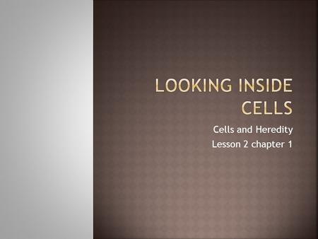 Cells and Heredity Lesson 2 chapter 1