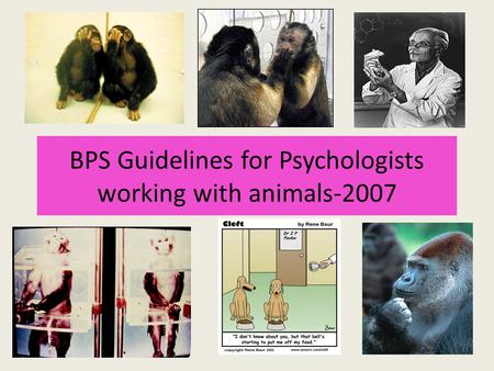 BPS Guidelines for Psychologists working with animals-2007.