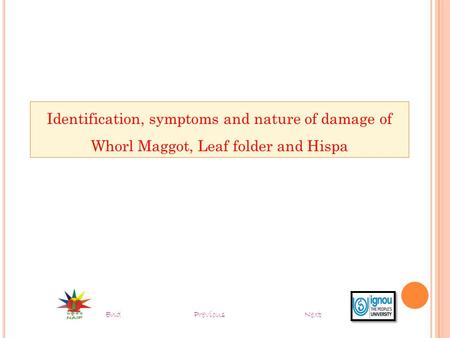 Identification, symptoms and nature of damage of Whorl Maggot, Leaf folder and Hispa End Previous Next.