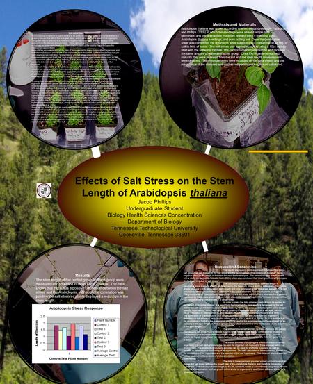 Effects of Salt Stress on the Stem Length of Arabidopsis thaliana Jacob Phillips Undergraduate Student Biology Health Sciences Concentration Department.