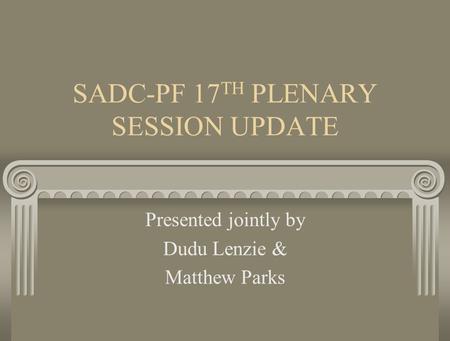 SADC-PF 17 TH PLENARY SESSION UPDATE Presented jointly by Dudu Lenzie & Matthew Parks.