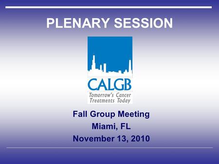 PLENARY SESSION Fall Group Meeting Miami, FL November 13, 2010.