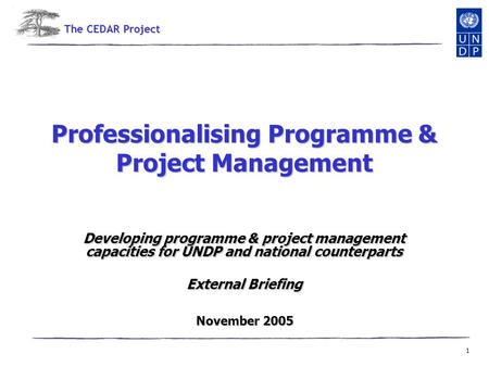 1 Professionalising Programme & Project Management Developing programme & project management capacities for UNDP and national counterparts External Briefing.