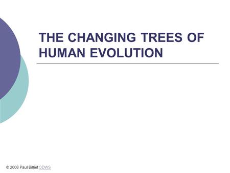 THE CHANGING TREES OF HUMAN EVOLUTION © 2008 Paul Billiet ODWSODWS.
