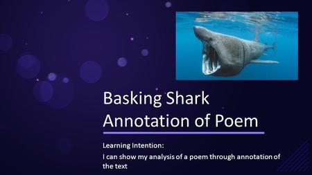 Basking Shark Annotation of Poem
