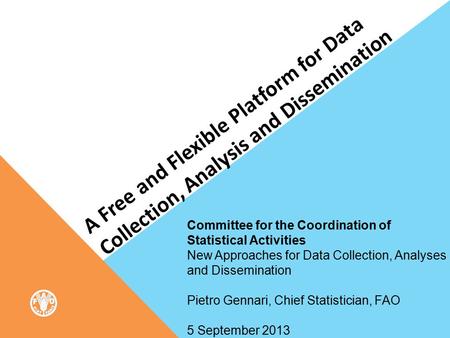 A Free and Flexible Platform for Data Collection, Analysis and Dissemination Committee for the Coordination of Statistical Activities New Approaches for.
