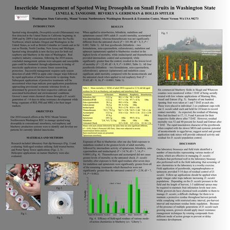 Insecticide Management of Spotted Wing Drosophila on Small Fruits in Washington State LYNELL K. TANIGOSHI, BEVERLY S. GERDEMAN & HOLLIS SPITLER Washington.