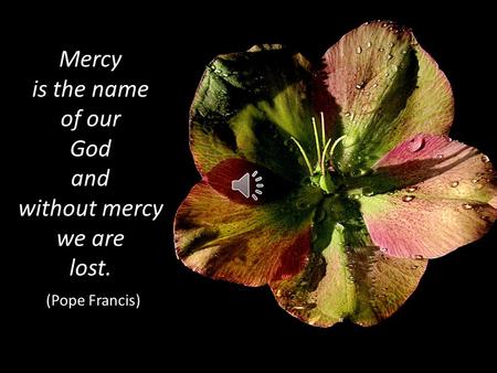Mercy is the name of our God and without mercy we are lost. (Pope Francis)