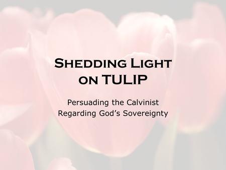 Shedding Light on TULIP Persuading the Calvinist Regarding God’s Sovereignty.
