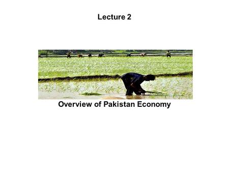 Overview of Pakistan Economy