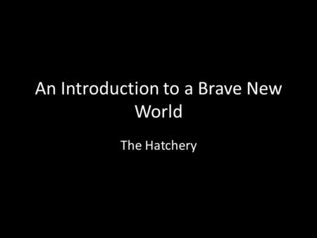 An Introduction to a Brave New World The Hatchery.