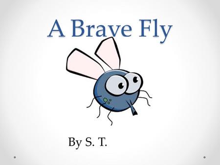 A Brave Fly By S. T.. Once upon a time there was a fly named Ted. Ted lived at home in a garden with his brother, sister, and parents. Mama flyPapa fly.